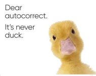 dear autocorrect it's never duck.jpg