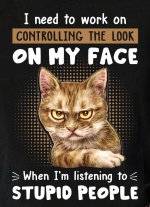 cat controlling my look.jpg