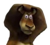 1000012763.jpg