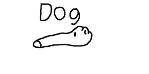 IMG_7062.jpeg