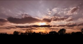 IMG_9558.jpeg