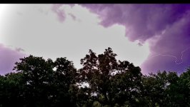 IMG_9557.jpeg