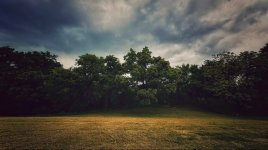 IMG_9555.jpeg