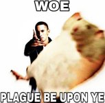 0179095030015509a0945adbc871b6b1.jpg