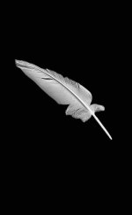 IMG_4276.jpeg