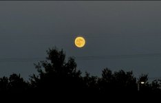 IMG_4275.jpeg