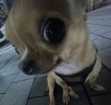 IMG_7633.jpeg