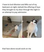 IMG_7686.jpeg