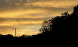IMG_7977.jpeg