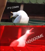 Inhaling-Seagull.webp