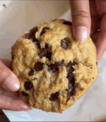 IMG_3373.gif