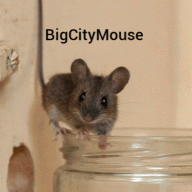 BigCityMouse