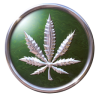Opiate420