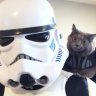 Storm Trooper