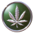Opiate420