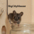 BigCityMouse